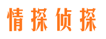 栖霞市市侦探公司